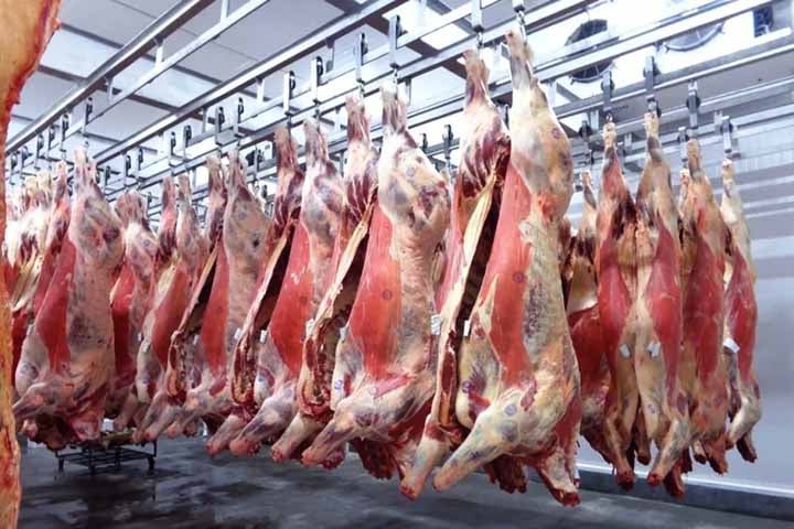Segundo o Departamento de Agricultura dos Estados Unidos (USDA), os dois principais exportadores mundiais são o Brasil e a Austrália. Em 2024, a projeção é que as exportações globais de carne bovina cheguem a 11,9 milhões de toneladas, com crescimento de 1%.