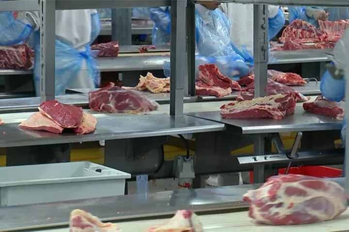O Brasil manterá a liderança global das exportações de carne bovina em 2024. Os frigoríficos brasileiros devem embarcar 2,85 milhões de toneladas da proteína bovina, 100 mil toneladas a mais que o exportado no ano passado.
