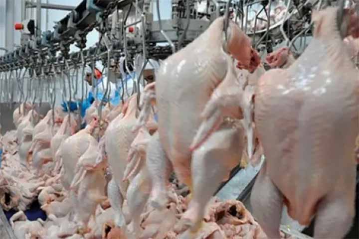 Em receita, o crescimento dos embarques em 2023 foi menor em meio a preços mais baixos, de apenas 0,4% na comparação com 2022, No entanto, algo suficiente para um novo recorde de 9,796 bilhões de dólares em 12 meses.
