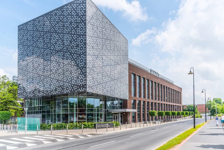 A condição do homem despertou a curiosidade de cientistas da Universidade de Limerick, na Irlanda.
