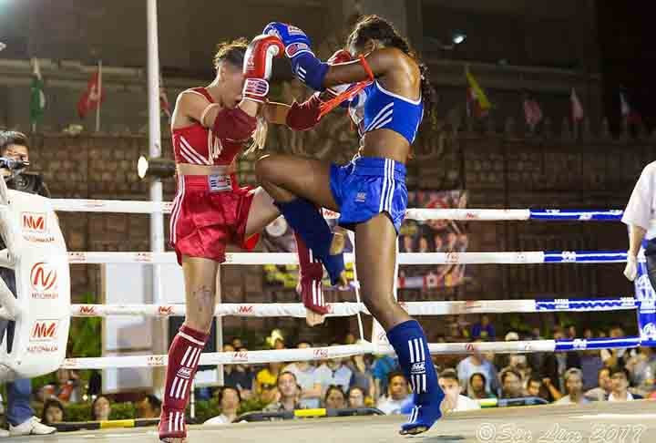Muay Thai- Nativo da Tailândia, o Muay Thai (ou Boxe Tailandês) é conhecido como arte das oito armas. Tem socos, chutes, joelhadas, cotoveladas e golpes de joelho, além de técnicas de clinch e arremesso. 