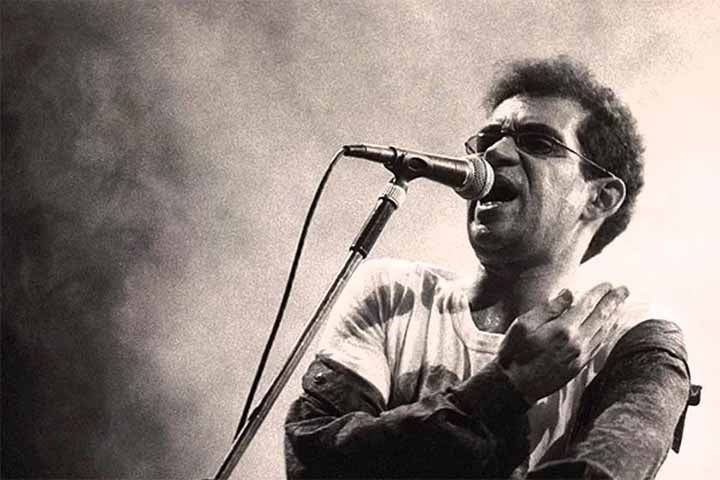 A Aborto Elétrico era composta ainda por Fê Lemos na bateria, André Pretorius na guitarra (substituído depois por Ico-Ouro Preto, irmão de Dinho Ouro Preto) e Flávio Lemos, que assumiria o baixo. 
