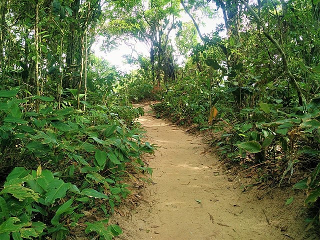  O trajeto é planejado para ser percorrido principalmente a pé. Mas há trechos bons para bicicletas. Em outros as pessoas podem pegar barcos para ver as ilhas incluídas na trilha ecológica. 