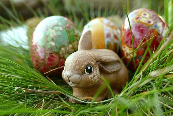 Por causa da Páscoa, associada simbolicamente a coelhos e ovos, muitas crianças- e até adultos - confundem as características dos coelhos e imaginam que eles botam ovos. 