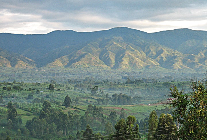 A outra área cruzada pela linha imaginária é marcada pela grandiosidade dos Montes Ruwenzori, que ficam no oeste de Uganda. 