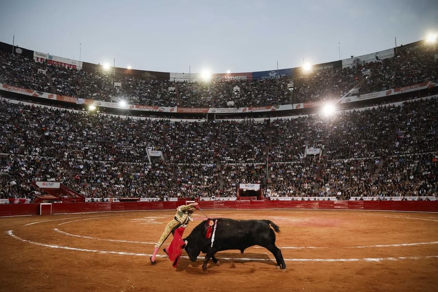 Em fevereiro de 2024, foi a vez do México suspender -- pela segunda vez -- todas as touradas realizadas na Plaza de Toros México, na Cidade do México, depois de um pedido da organização Todos y Todos por Amor a los Toros.