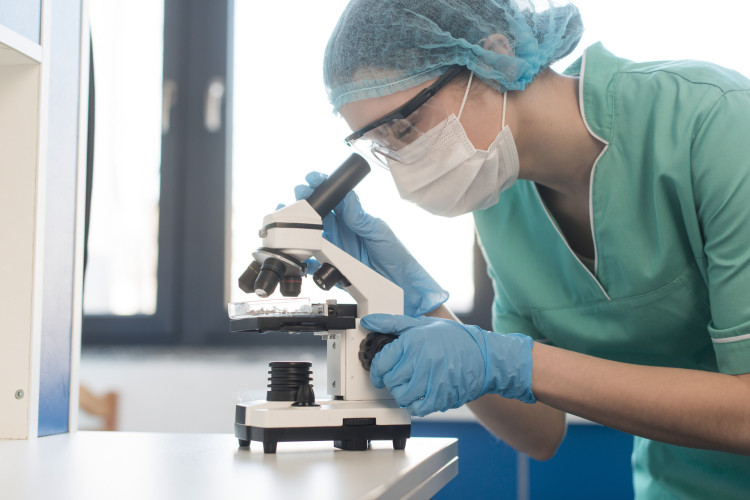 Testes em camundongos mostram resultados promissores de nanocápsula brasileira para reduzir inflamação intestinal. Imagem de apoio ilustrativo 