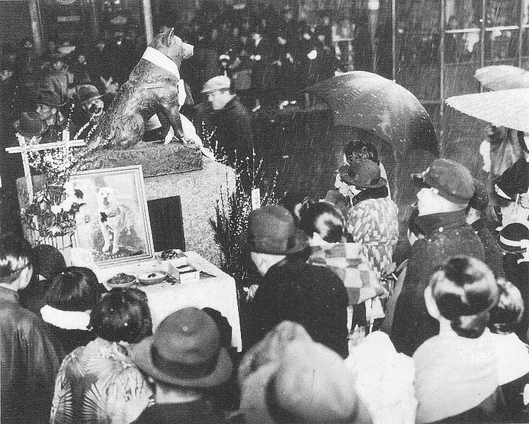 Cerca de três mil pessoas chegaram a participar de evento que arrecadou fundos para a criação de uma estátua de bronze para Hachiko em 1934. 