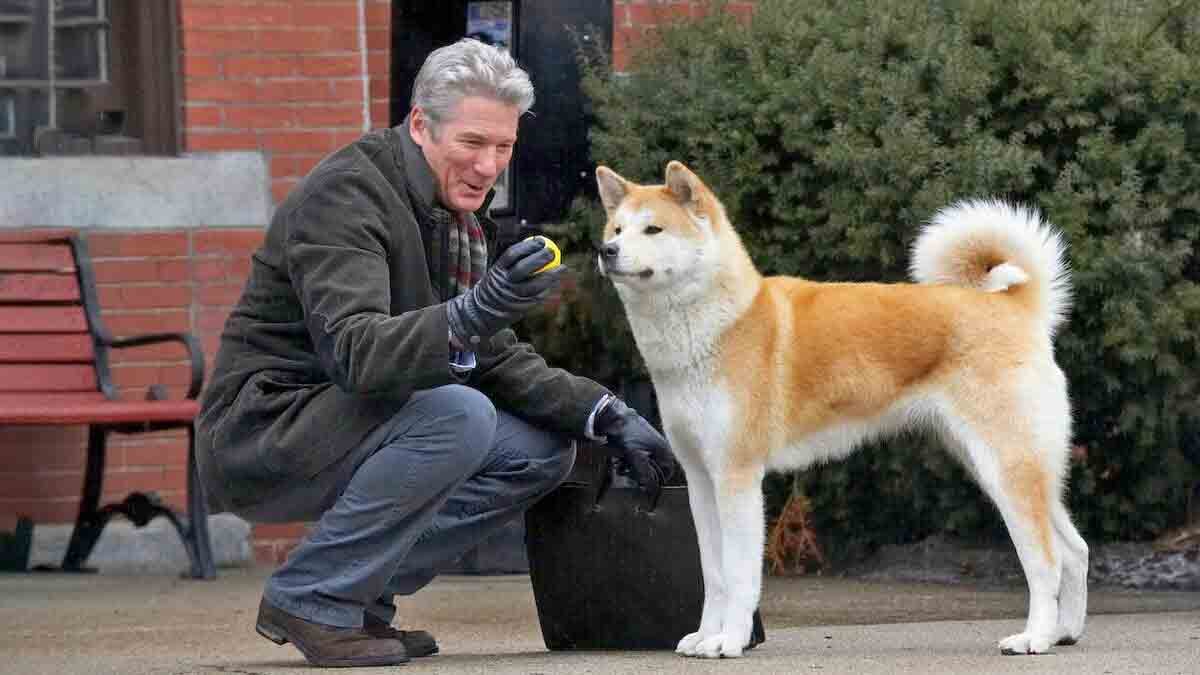 Sempre ao seu lado (Hachi: A Dog's Tale) foi sucesso de bilheteria e tem como protagonista Richard Gere. A película retrata justamente a  história de fidelidade de Hachiko.
