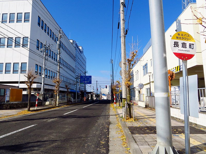 Hachiko veio à luz em uma fazenda da cidade japonesa de Odate (foto), na província de Akita, mesmo nome da raça canina à qual ele pertencia.