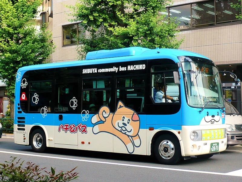 No distrito de Shibuya, em Tóquio, há linha de ônibus em tributo a Hachiko, com ilustrações que remetem à memória do cachorro. 