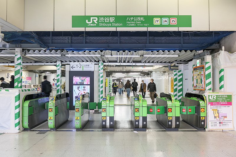 Vítima de derrame cerebral, Ueno morreu em 21 de maio de 1925 e Hachiko, cão ainda muito jovem, ficou sob os cuidados de diversas pessoas até ser acolhido por Kikusaburo Kobayashi, jardineiro de Ueno.