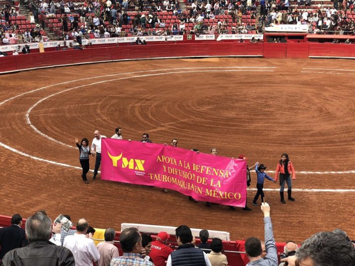 Algumas regiões dos Estados Unidos, como a Califórnia, também mantêm a prática. No Japão, existe tourada, mas de outro jeito: é uma disputa entre touros. 