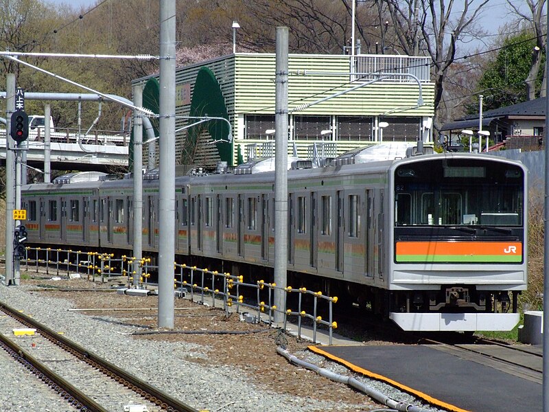 Hachiko e outros dois cães acompanhavam seu dono semanalmente à estação de trem de Shibuya. Ali, Ueno pegava a condução até o trabalho e os animais ficavam à espera de seu retorno. 