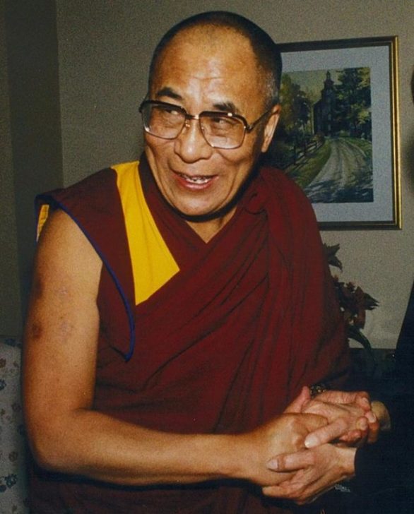 Além de ser um líder espiritual, o Dalai Lama também se encontra com outros líderes mundiais, líderes religiosos, filósofos e cientistas, e viaja pelo mundo dando ensinamentos budistas tibetanos. Ele recebeu o Prêmio Nobel da Paz em 1989.