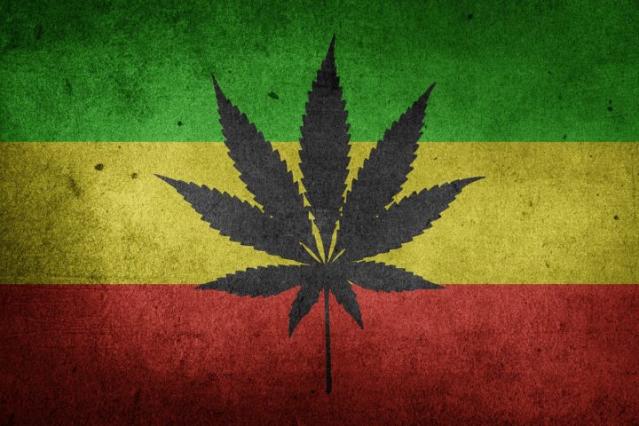 Jamaica: Na Jamaica, embora a maconha ainda seja ilegal, desde 2015, a posse e a produção de pequenas porções foram descriminalizados.