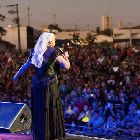 Mas queria falar um pouco de meu irmão. Meus dois irmãos, o mais velho e o mais novo, foram meus companheiros de vida. O mais novo se foi em 2019, declarou a cantora, emocionada, em um vídeo.