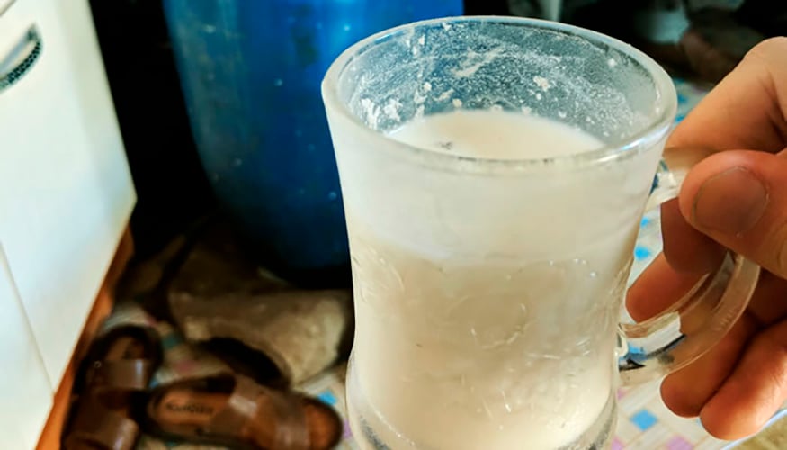 Leite de cavalo fermentado - Na Mongólia, fazem um tipo de cerveja com leite de égua, que é fermentado num líquido gaseificado azedo e ligeiramente alcoólico. O nome da bebida é Airag. 