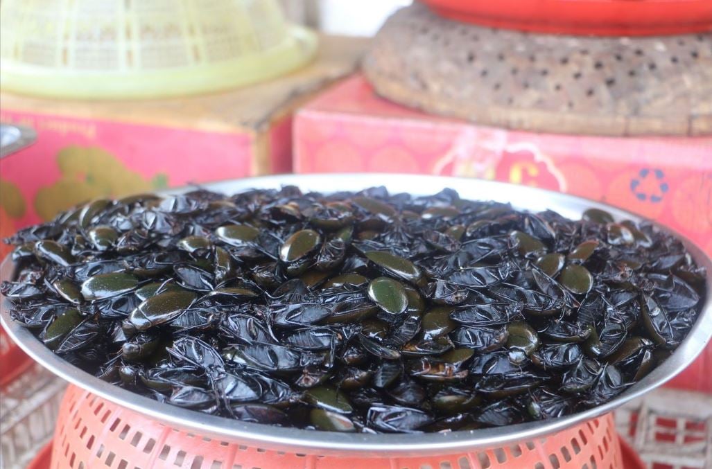 Veja alguns quitutes que, no Brasil, podem embrulhar o estômago, mas que são verdadeiras delícias para quem está acostumado. Na foto, baratas fritas consumidas com gosto por asiáticos. 