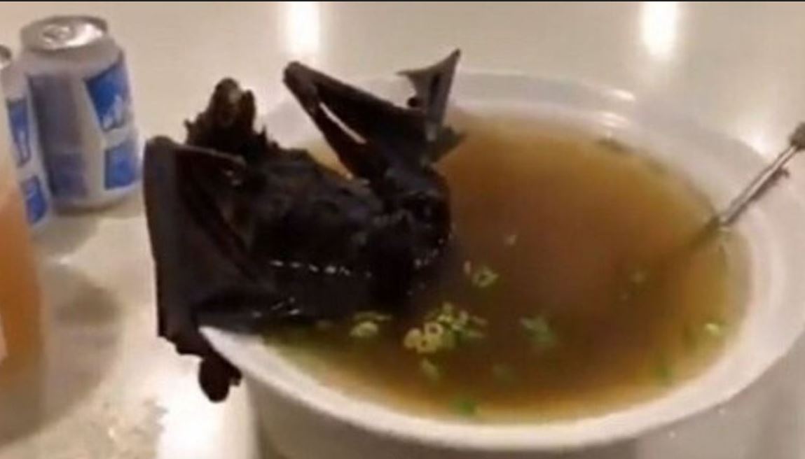 Sopa de Morcego - Na Tailândia, o animal é fervido numa panela e pode ser colocado junto ao caldo no prato.  