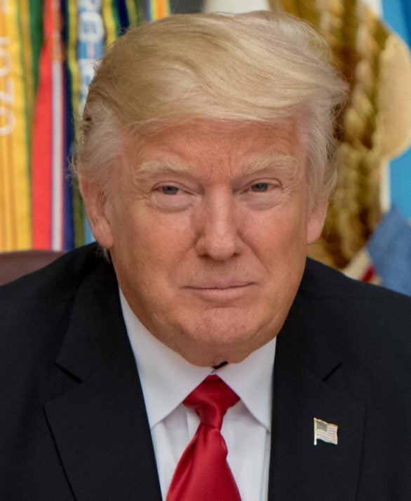 Donald Trump é um empresário e político americano, conhecido por sua carreira no setor imobiliário e por ter sido o 45º presidente dos Estados Unidos.