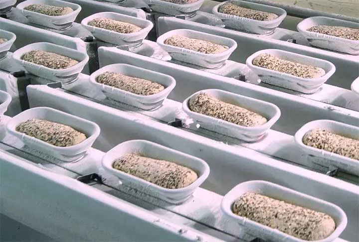 Mas por que isso acontece?  O processo de fermentação, que faz o pão crescer, produz álcool. No entanto, quase tudo evapora quando a massa é colocada no forno. Então, o álcool encontrado nos pães tem outra explicação. 