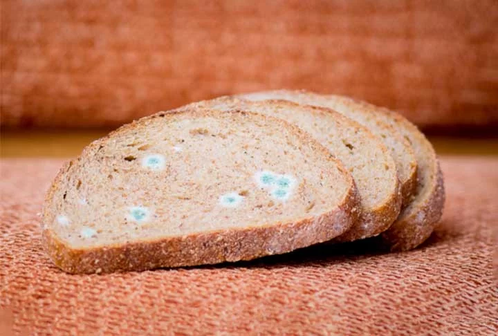 Trata-se de uma tentativa de conservar o pão, já que, de acordo com a associação, 10% da produção costumam ser perdidos por causa de mofo. 