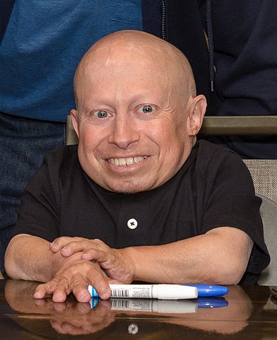 Verne Troyer tinha nanismo severo e media apenas 81 cm. Sofria de depressão e alcoolismo. Morreu aos 49 anos, em abril de 2018. O laudo atestou suicídio por ingestão excessiva de álcool.  Verne fez sucesso como Mini-Me de Austin Powers.
