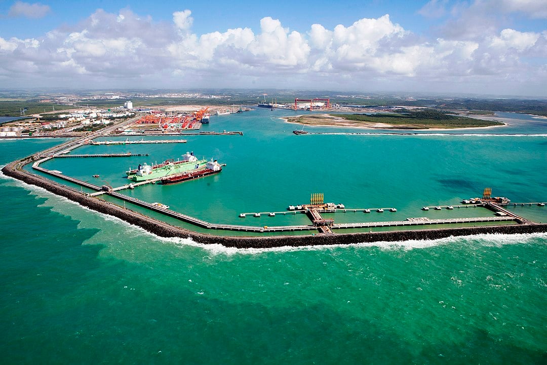 Uma brecha foi aberta nos arrecifes para dar acesso às embarcações, a salinidade foi alterada e berçários naturais destruídos, forçando os tubarões a se deslocarem para o estuário do Rio Jaboatão e as praias do Recife. 