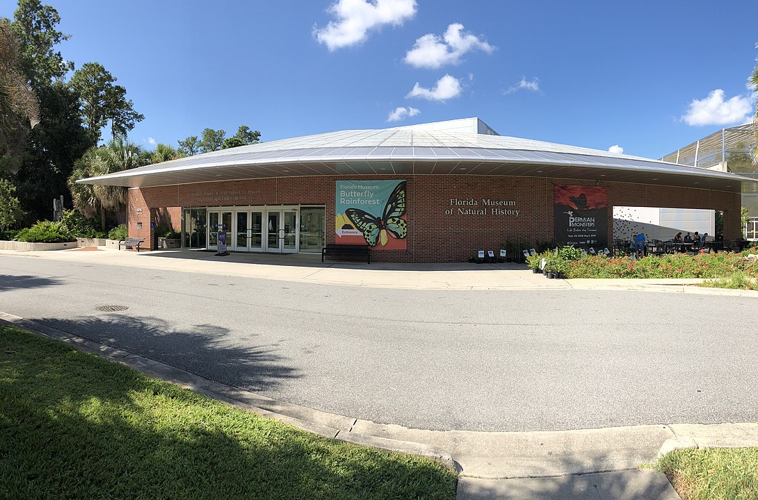 Os dados foram apurados pelo Florida Museum,  instituição de pesquisa em Ciência Natural.  Os Estados Unidos, de longe, ocuparam a primeira posição no número de ataques de tubarões a banhistas: 1.564 casos no período. 