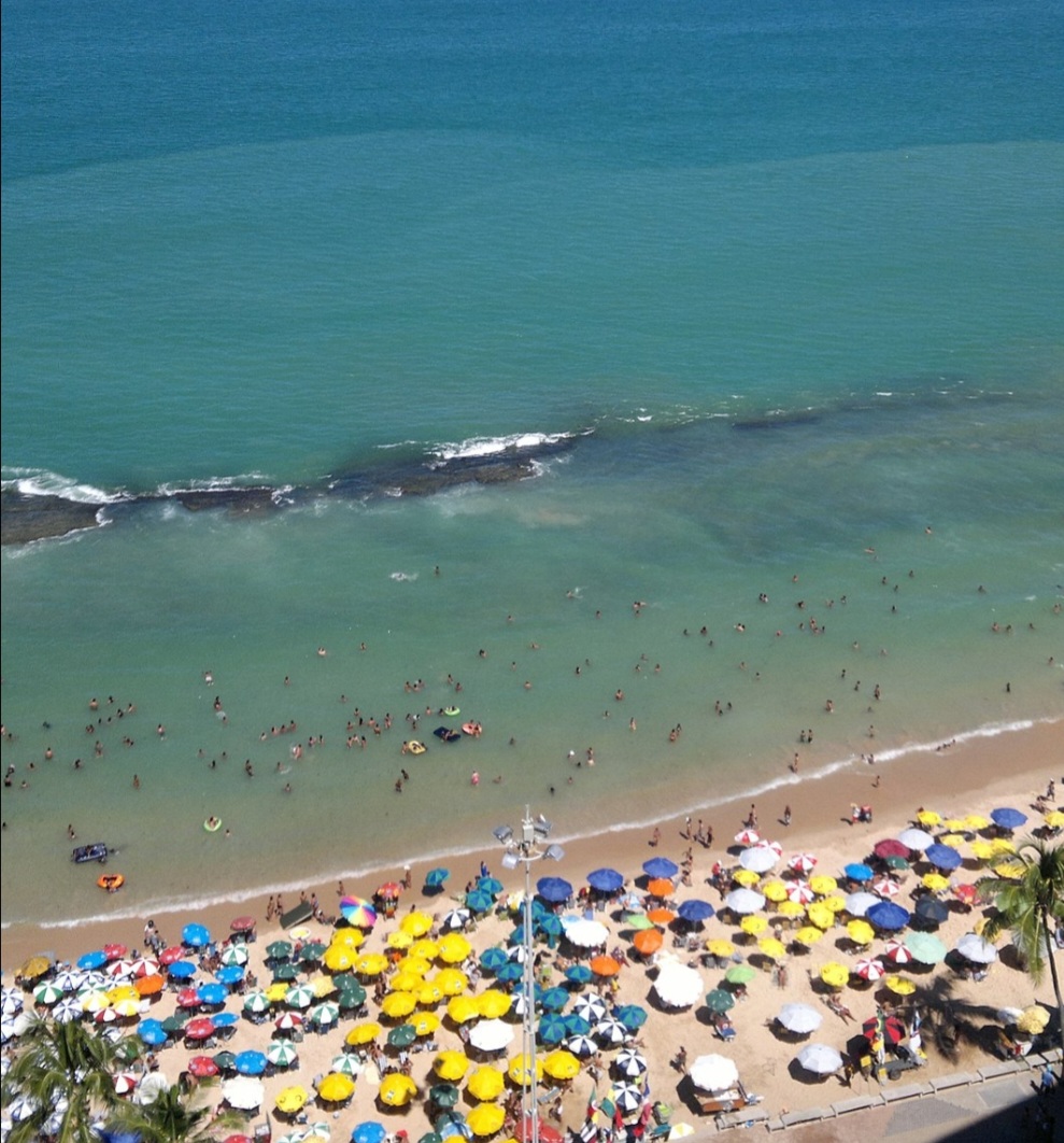 O Brasil ocupou um preocupante quarto lugar, com 110 casos. Em sua grande maioria, as ocorrências foram no litoral pernambucano: 61 ataques.