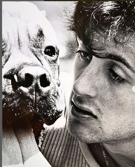 Com o dinheiro do estúdio em mãos, o ator foi atrás do homem que ficou com seu cachorro e o comprou de volta por 15 mil dólares. Butkus aparece na trama de Rocky como o cão do protagonista.