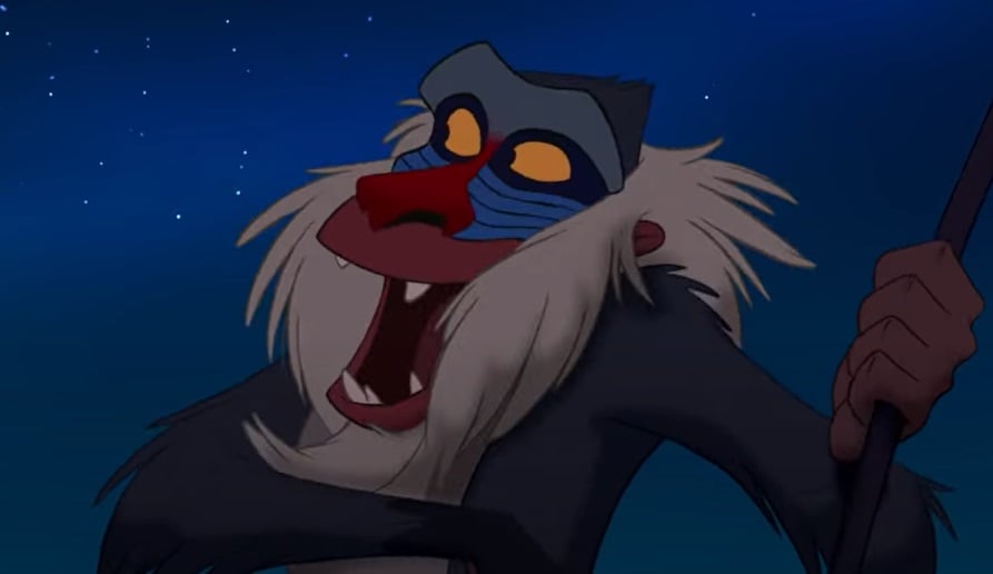Personagem: Rafiki - Filme: O Rei Leão - Extremamente sábio, Rafiki é fundamental para a história de Rei Leão, que , para muitos, é o filme da Disney de maior complexidade e destaque de todos os tempos. Ele era um grande amigo de Mufasa, pai de Simba. 