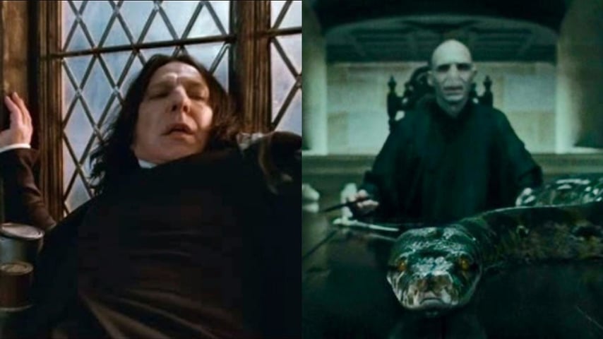 Cena memorável: Morte de Snape - Severus Snape sempre foi identificado como frio, sombrio e que queria o mal de Harry. Porém, os últimos segundos do bruxo mostram que ele era tinha sentimentos nobres e era muito leal a Dumbledore. Harry passou a conhecê-lo de verdade. 