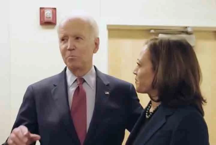 Nas eleições de 2020, a presença de Kamala na chapa encabeçada por Biden foi considerada essencial para derrotar Donald Trump, que buscava a reeleição, por atrair os votos de minorias.

