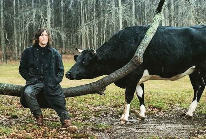 The Walking Dead, Daryl Dixon está disponível no catálogo do Prime Video, plataforma de streaming da Amazon. No entanto, a segunda temporada, que estreia em setembro nos Estados Unidos, ainda não tem previsão para chegar ao Brasil