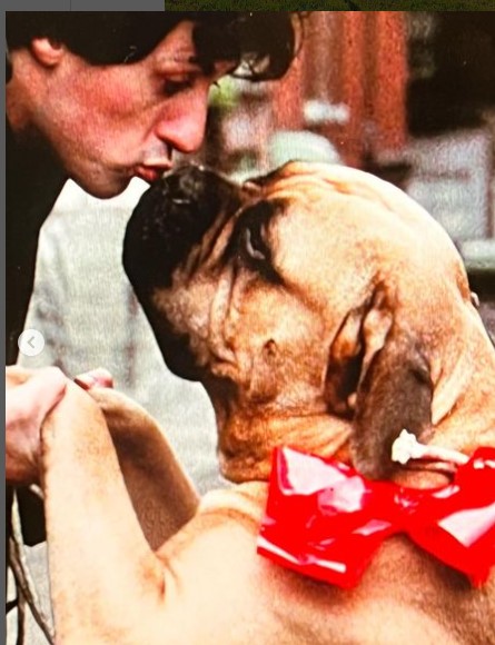 Enquanto fazia pontas em filmes, a vida de Stallone seguia miserável. A ponto de ter vendido seu cachorro, de nome Butkus, para um desconhecido em uma loja de bebidas para poder comprar o que comer.