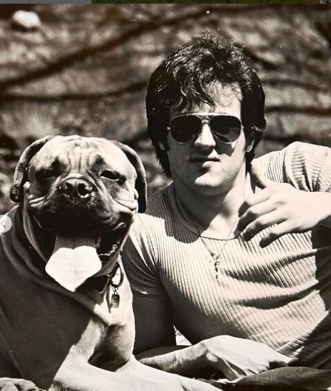 Com o dinheiro do estúdio em mãos, o ator foi atrás do homem que ficou com seu cachorro e o comprou de volta por 15 mil dólares. Butkus aparece na trama de Rocky como o cão do protagonista.