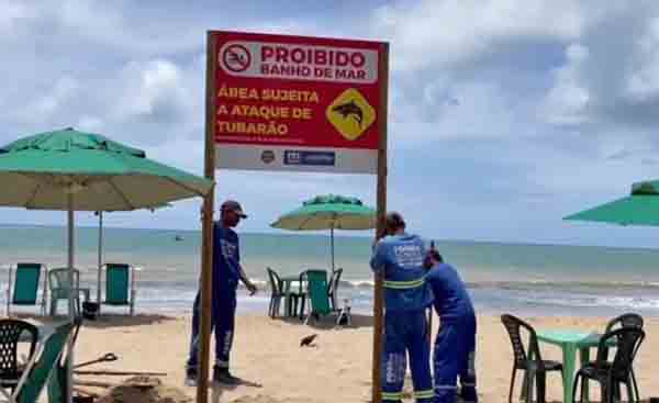O incidente aconteceu num local onde os ataques são mais comuns e é proibido entrar no mar.  A prefeitura de Jaboatão informou que o trecho, de mais de dois quilômetros de extensão, está interditado desde julho de 2021 e com placa de alerta. Mas muita gente insiste em entrar na água. 