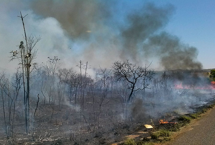 Para piorar, as queimadas, o desmatamento e o consumo irresponsável de recursos naturais podem acelerar ainda mais esse processo.
