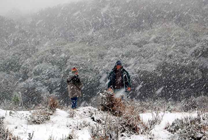 Cidade turística por conta das baixas temperaturas e localizada a cerca de 212 km da capital Florianópolis, Urupema recebeu o título de Capital Nacional do Frio, em 2021. 