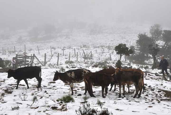 Os destaques são o saneamento básico, instalado em quase 100% dos domicílios, inclusive na zona rural, e o esforço pelo uso racional de agrotóxicos. A prática de agricultura orgânica também vem crescendo na cidade.