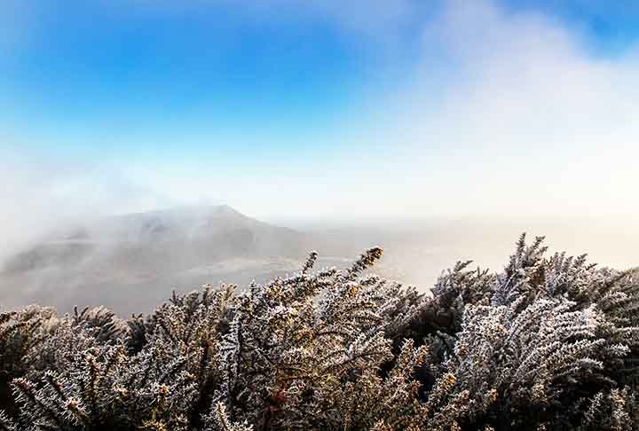 A cidade também ostenta o título de capital catarinense da truta. O município é rico em nascentes e águas límpidas e cristalinas que formam os rios Caronas, Caixão, Lontras, Quebra-Dente e Lava-Tudo.