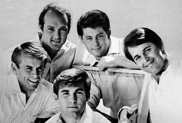 O grupo original consistia do cantor-músico-compositor Brian Wilson, seus irmãos Carl e Dennis, o primo Mike Love e o amigo Alan Jardine. Distinguida por suas harmonias vocais, letras voltadas para adolescentes e engenhosidade musical, a banda é um dos atos mais influentes da era do rock.