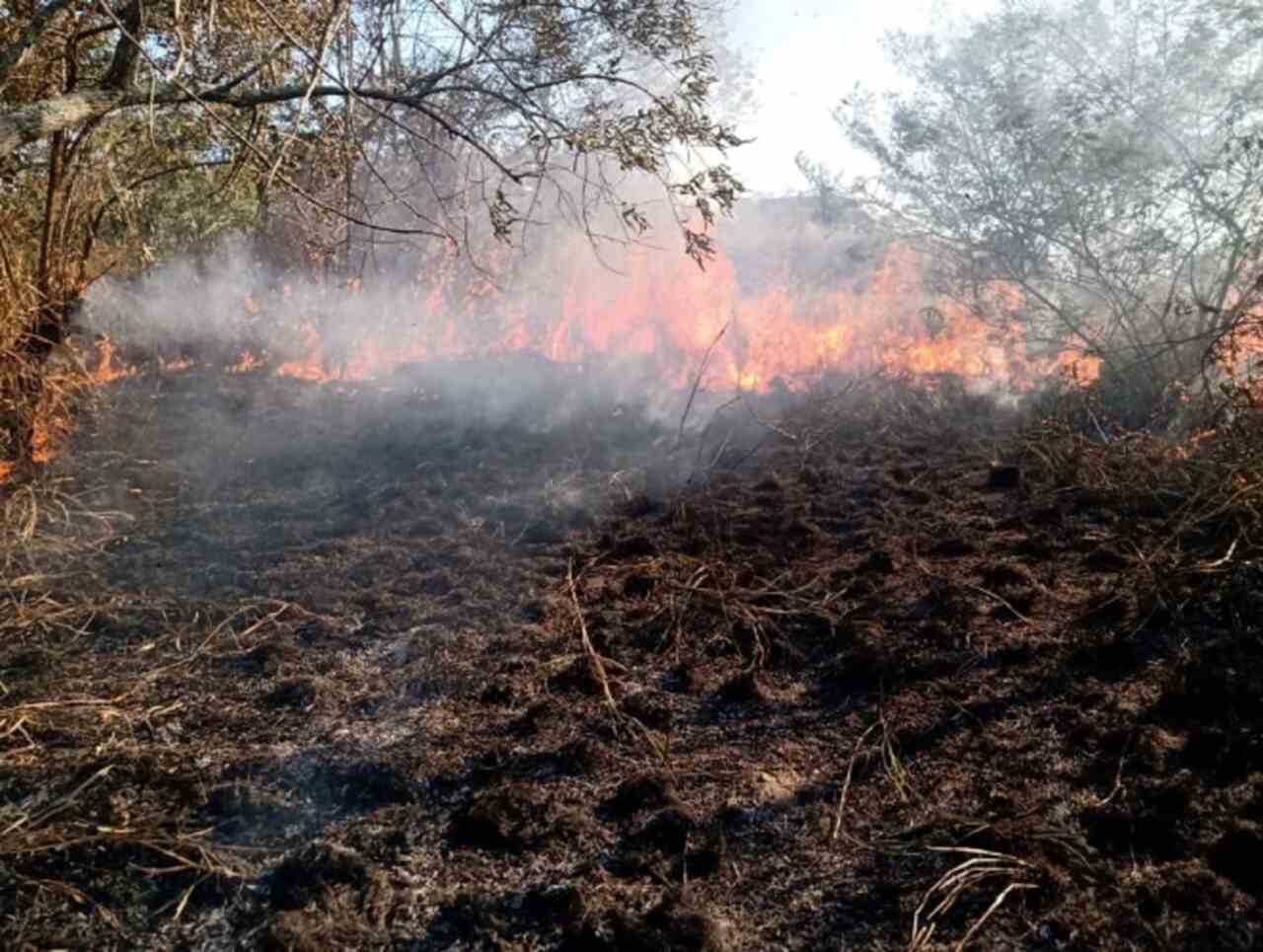 A Área de Proteção Ambiental Estâncias de Pendotiba, em São Gonçalo (RJ) já foi parcialmente destruída por causa de incêndio causado por balão. 