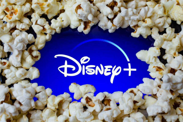 Lançamentos do Disney+ em agosto têm produções para todos os estilos (Imagem: Ascannio | Shutterstock) 