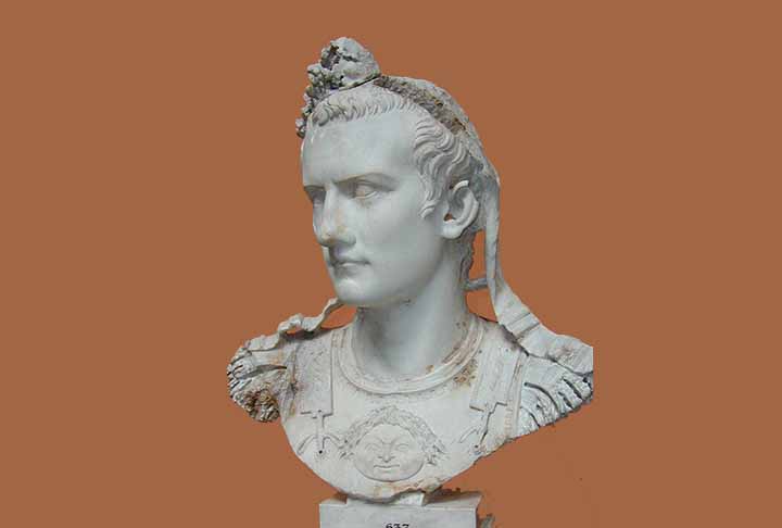 Barett sustenta em seu livro “Calígula: The Abuse of Power” (“Calígula: O Abuso do Poder”, em tradução livre) que a imaturidade e despreparo para o cargo levaram o imperador a agir de forma irracional. 
