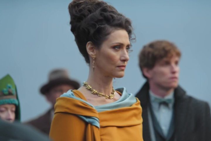 A atriz participou de Animais Fantásticos: Os Segredos de Dumbledore (2022), no papel de Vicência Santos, uma mulher muito poderosa, ministra da Magia do Brasil. 
