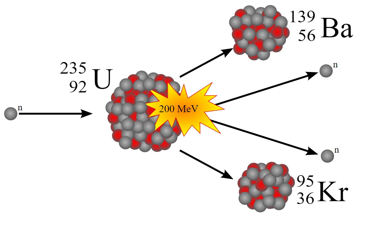 Urânio-235 e plutônio-239 são os principais componentes de uma bomba nuclear, que funciona pelo princípio da divisão de um átomo instável (nêutron) pelo bombardeamento de partículas. Isso desencadeia a fissão nuclear dos outros átomos presentes.