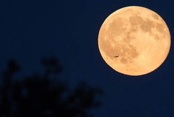 Dos 12 astronautas que pisaram na Lua em missões bem sucedidas, apenas 4 estão vivos. Além de Aldrin e Duke, estão vivos David Scott e Harrison Schmitt. Veja os outros astronautas que estiveram no satélite natural da Terra. 